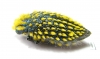 Julodis viridipes ssp.2 South Africa Rep. - INSECTS-STORE.RU