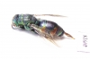 Chrysididae sp.  Russia, Tver reg. - INSECTS-STORE.RU