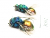 Chrysididae sp.  Russia, Tver reg. - INSECTS-STORE.RU