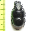Lethrus schaumi, male  Greece - INSECTS-STORE.RU