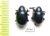 Chrysomelidae sp.  Laos - INSECTS-STORE.RU