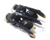 Hymenoptera sp.  Zambia - INSECTS-STORE.RU