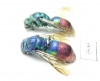 Chrysididae sp.  Russia, Tver reg. - INSECTS-STORE.RU
