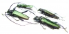 Aromia moschata moscata, pair  Russia, Tver reg. - INSECTS-STORE.RU
