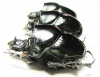 Diastellopalpus ? johnstoni  Kenya - INSECTS-STORE.RU