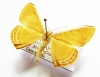 Geometridae sp.  French Guiana - INSECTS-STORE.RU