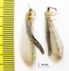 Myrmeleontidae sp.  Russia, Astrakhan reg. - INSECTS-STORE.RU