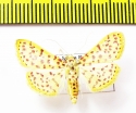 Geometridae sp.  Bolivia - INSECTS-STORE.RU
