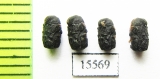 Chrysomelidae sp.  Laos - INSECTS-STORE.RU