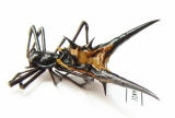 Arachnida sp.  Peru - INSECTS-STORE.RU