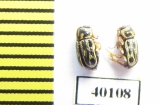 Chrysomelidae sp.  Uzbekistan - INSECTS-STORE.RU