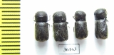Bostrichidae sp.  Thailand - INSECTS-STORE.RU