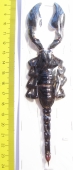 Heterometrus cyaneus Indonesia, Java  160mm - INSECTS-STORE.RU