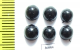 Coccinellidae sp.  Thailand - INSECTS-STORE.RU